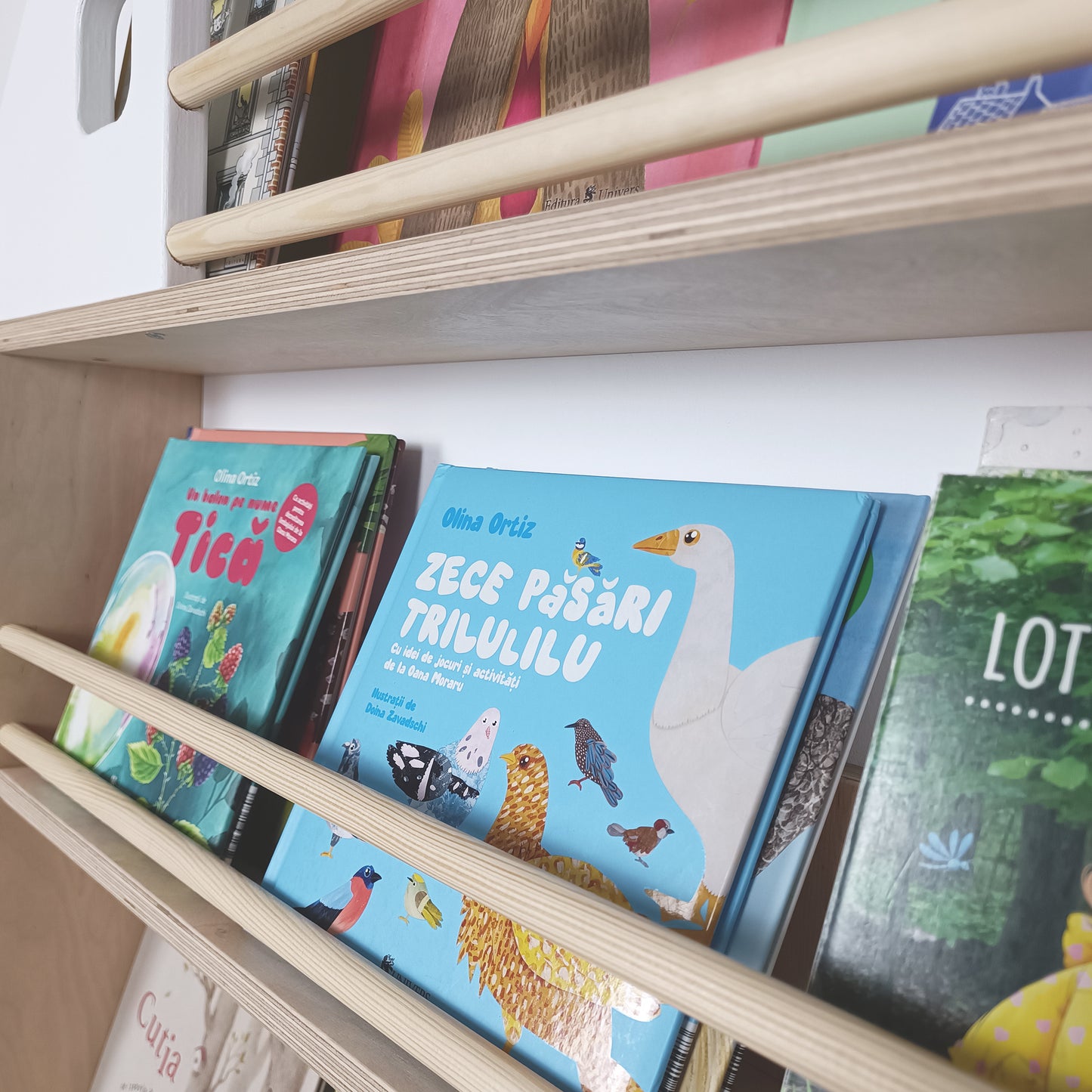 Bibliotecă perete Montessori NESKA