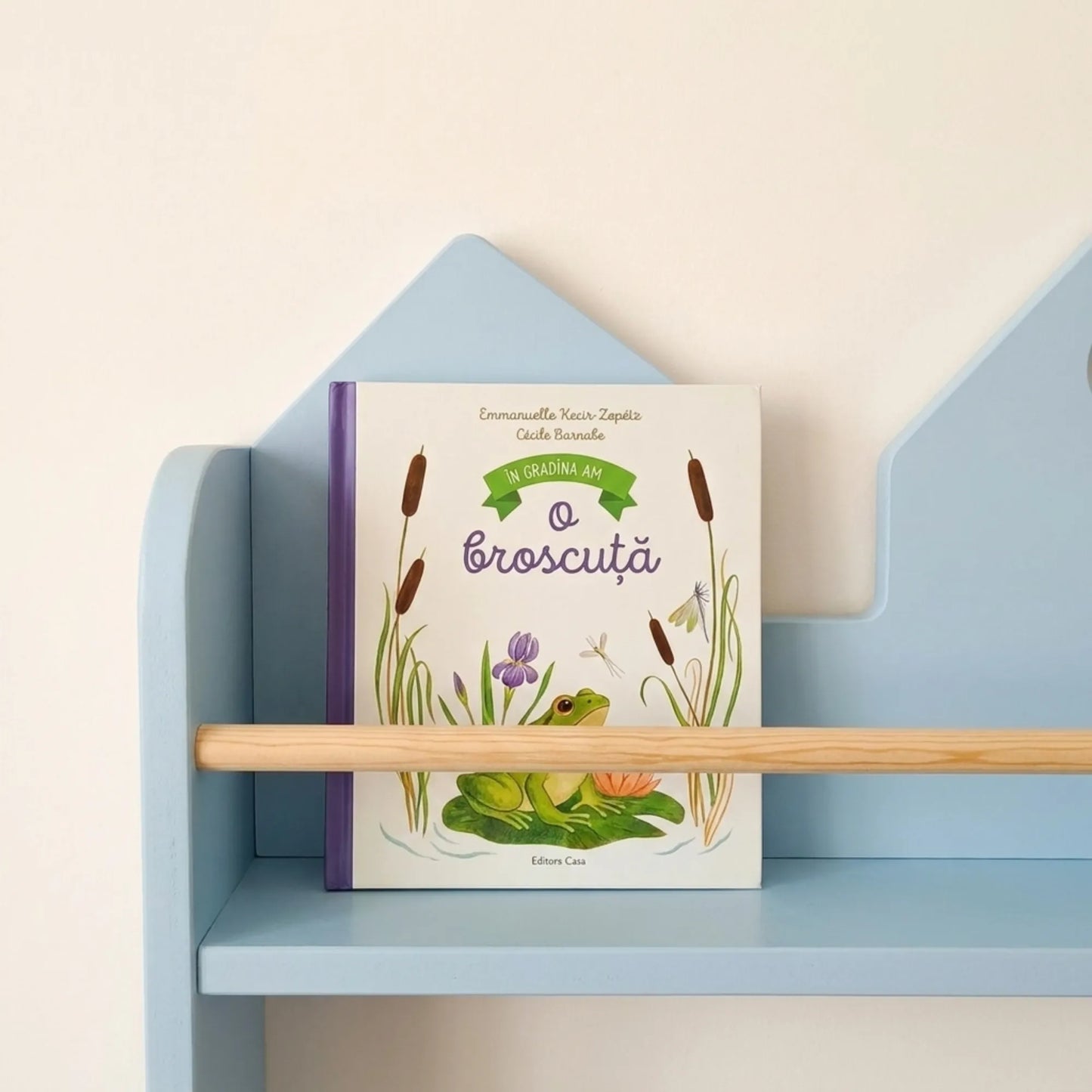 Bibliotecă pentru copii, MININEST