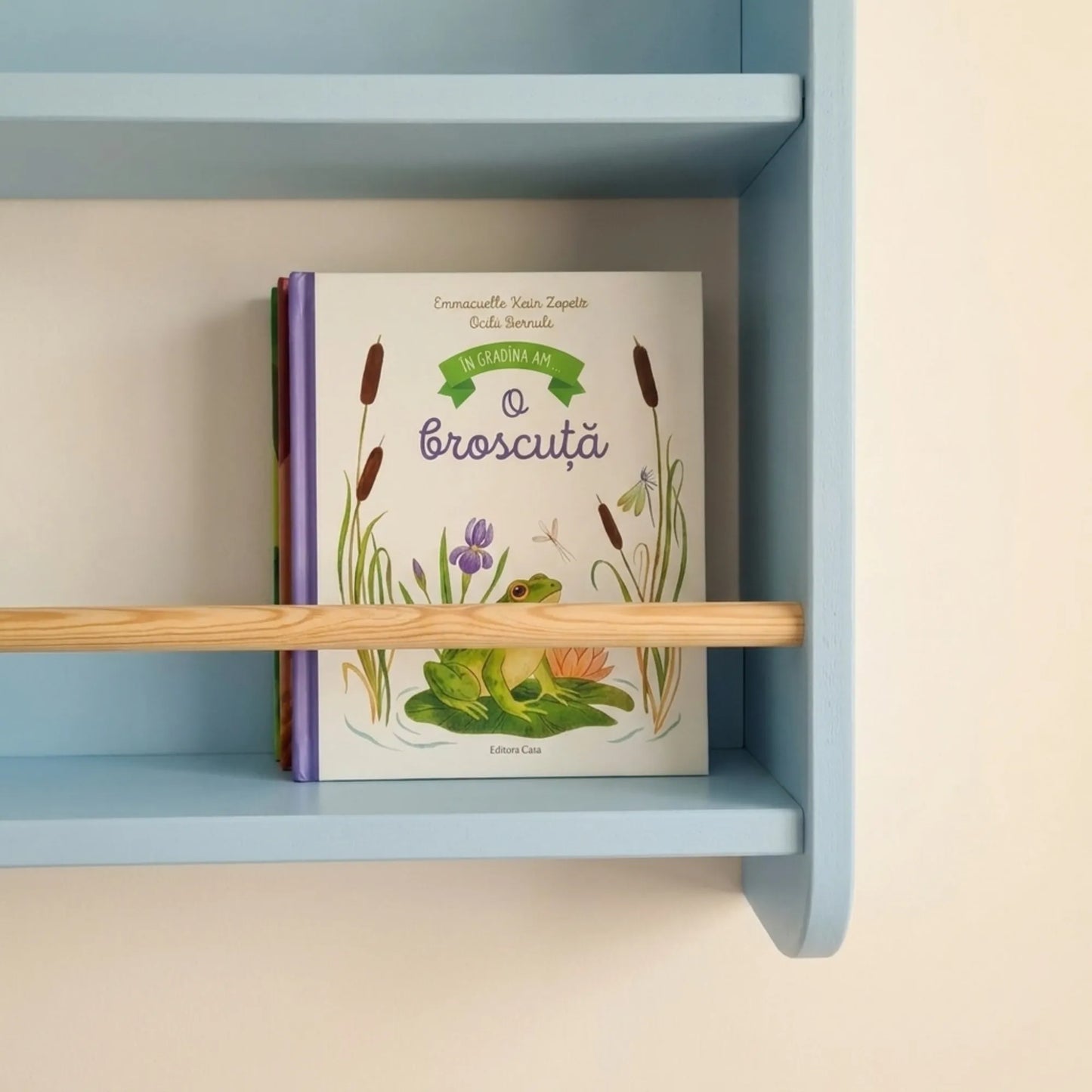 Bibliotecă pentru copii, MININEST